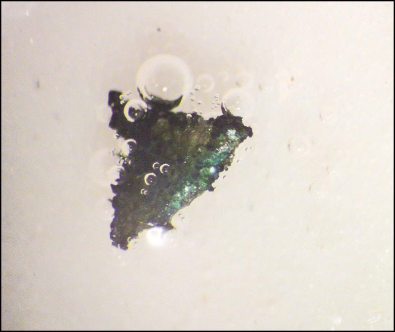 Unter dem Mikroskop: mm-großer Mg-Schnipsel mit unklaren grünen Auflagerungen