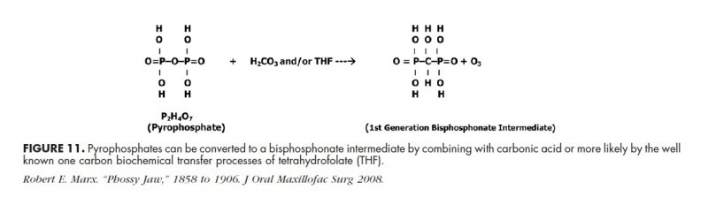 bio-Bisphosphonatbildung.jpg