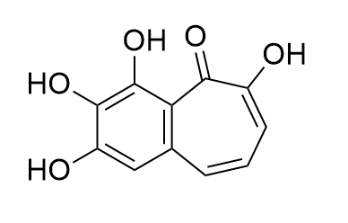 Purpurogallin2.PNG