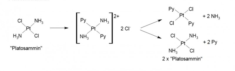 Formeln Reaktion Platosammin.jpg