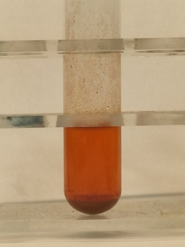 Reaktion mit Thioharnstoff - Präparat cis-2 1.jpg
