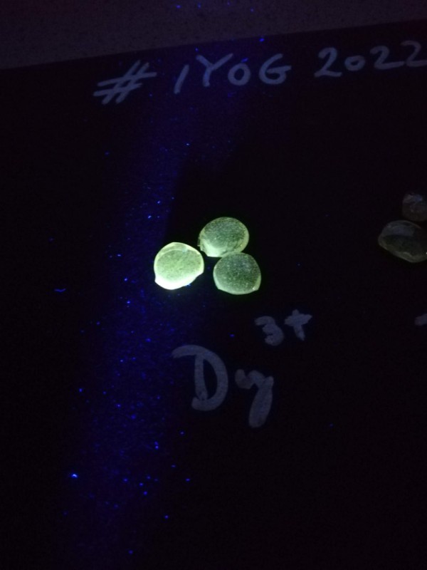 Dy doped glass fluo