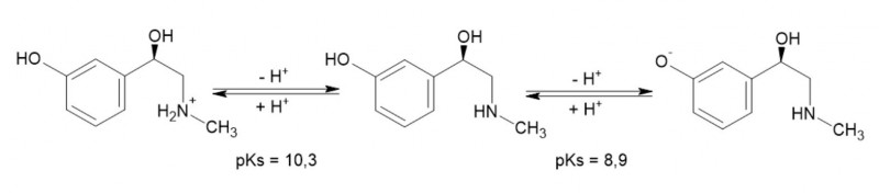 Formel Phenylephrin.jpg